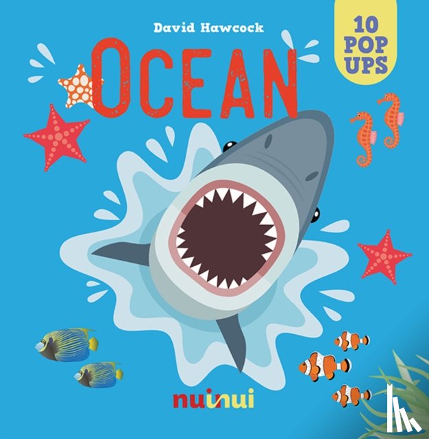 Hawcock, David - Ocean