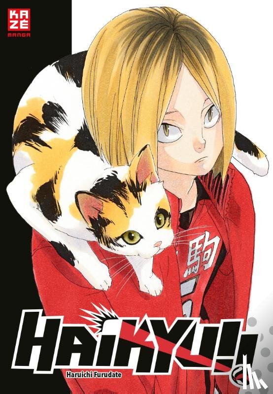 Furudate, Haruichi - Haikyu!! Sammelbox 3 - Band 21-30 im Schuber