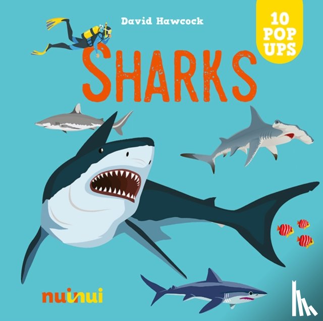 Hawcock, David - Sharks