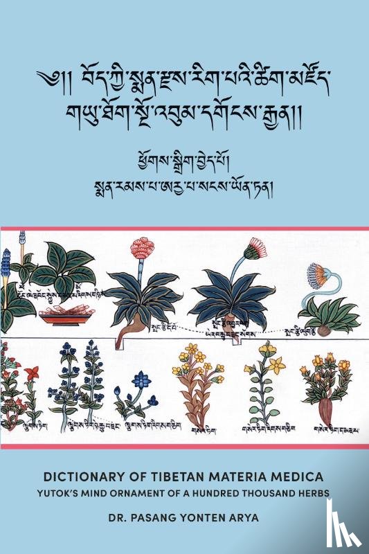 Arya, Pasang Yonten - Dictionary of Tibetan Materia Medica (Bod kyi sman rdzas rig pa'i tshig mdzod)