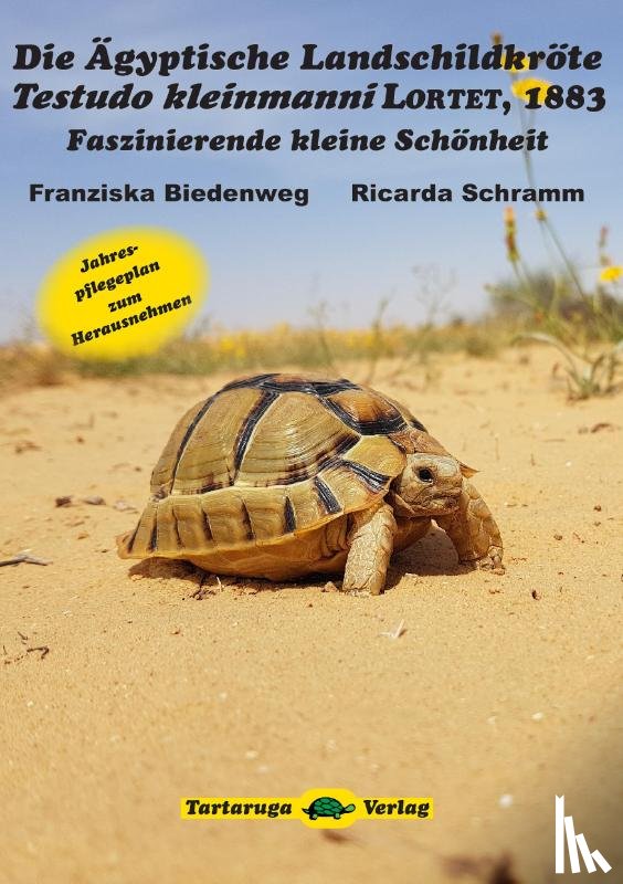 Biedenweg, Franziska, Schramm, Ricarda - Die Ägyptische Landschildkröte Testudo kleinmanni LORTET, 1883