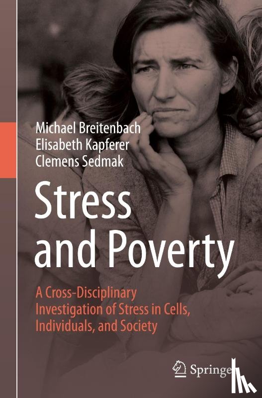 Breitenbach, Michael, Kapferer, Elisabeth, Sedmak, Clemens - Stress and Poverty
