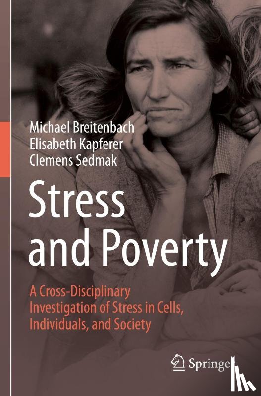 Breitenbach, Michael, Kapferer, Elisabeth, Sedmak, Clemens - Stress and Poverty