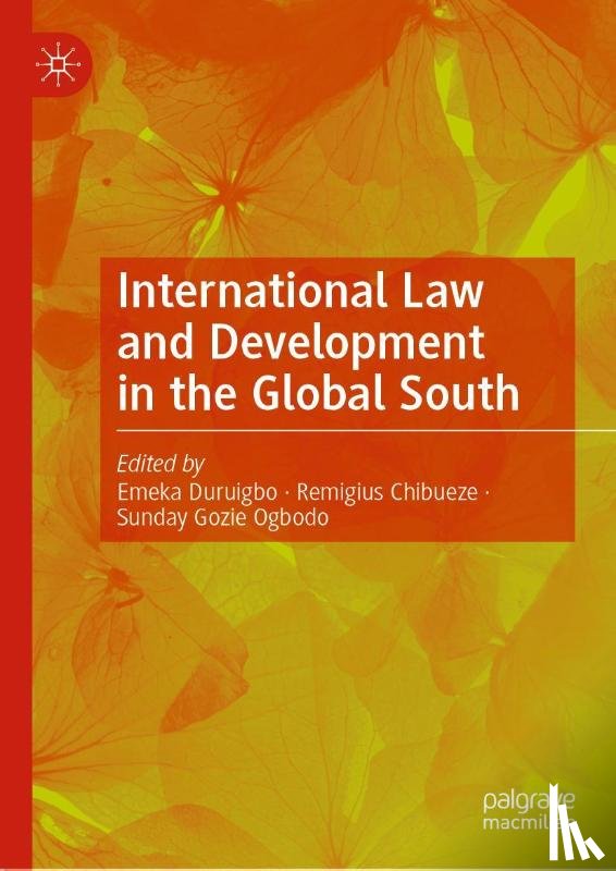  - International Law and Development in the Global South