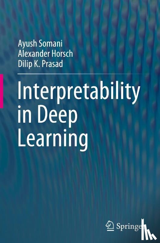 Somani, Ayush, Horsch, Alexander, Prasad, Dilip K. - Interpretability in Deep Learning