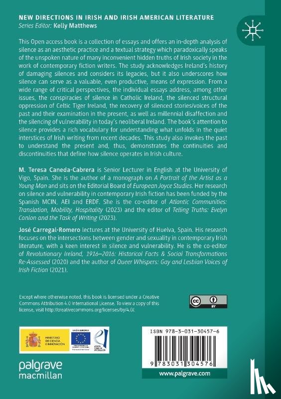  - Narratives of the Unspoken in Contemporary Irish Fiction