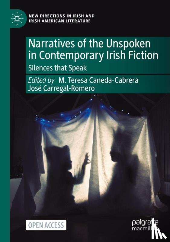  - Narratives of the Unspoken in Contemporary Irish Fiction
