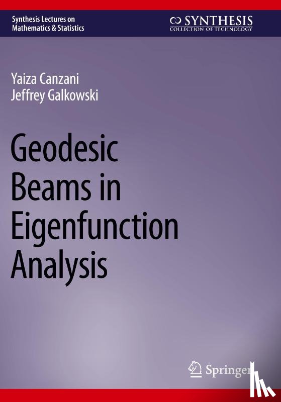 Canzani, Yaiza, Galkowski, Jeffrey - Geodesic Beams in Eigenfunction Analysis