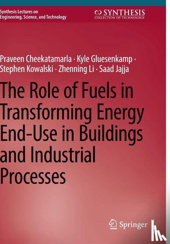 Cheekatamarla, Praveen, Gluesenkamp, Kyle, Kowalski, Stephen, Li, Zhenning - The Role of Fuels in Transforming Energy End-Use in Buildings and Industrial Processes