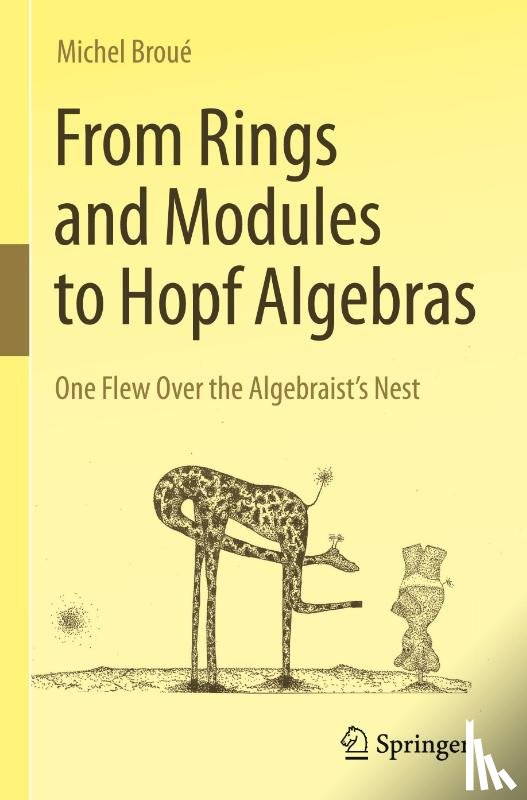 Broue, Michel - From Rings and Modules to Hopf Algebras