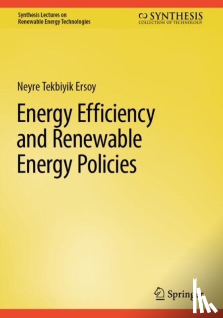 Tekbiyik Ersoy, Neyre - Energy Efficiency and Renewable Energy Policies
