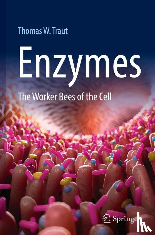 Traut, Thomas W. - Enzymes