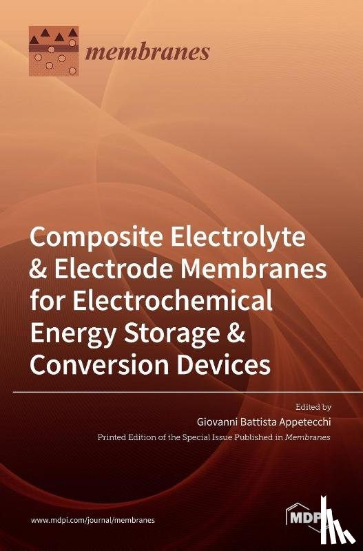 Appetecchi, Giovanni Battista - Composite Electrolyte & Electrode Membranes for Electrochemical Energy Storage & Conversion Devices