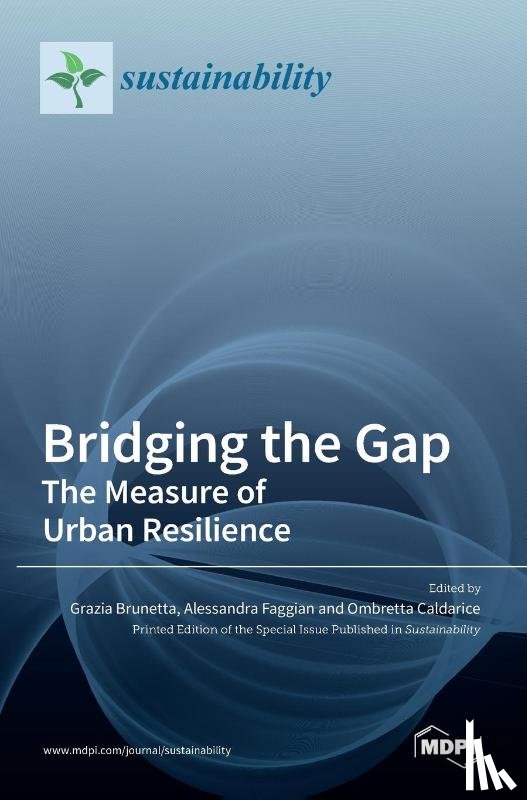 Brunetta, Grazia - Bridging the Gap