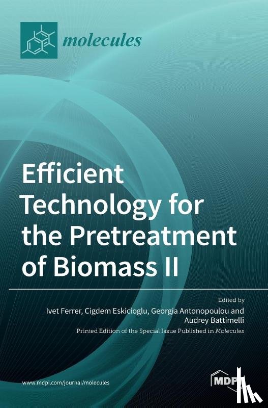 FERRER, IVET - Efficient Technology for the Pretreatment of Biomass II