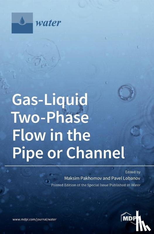 PAKHOMOV, MAKSIM - Gas-Liquid Two-Phase Flow in the Pipe or Channel