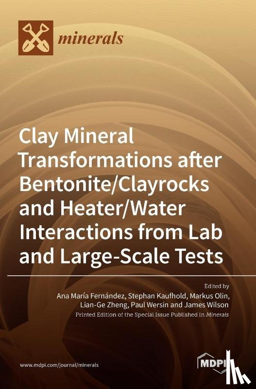  - Clay Mineral Transformations after Bentonite/Clayrocks and Heater/Water Interactions from Lab and Large-Scale Tests