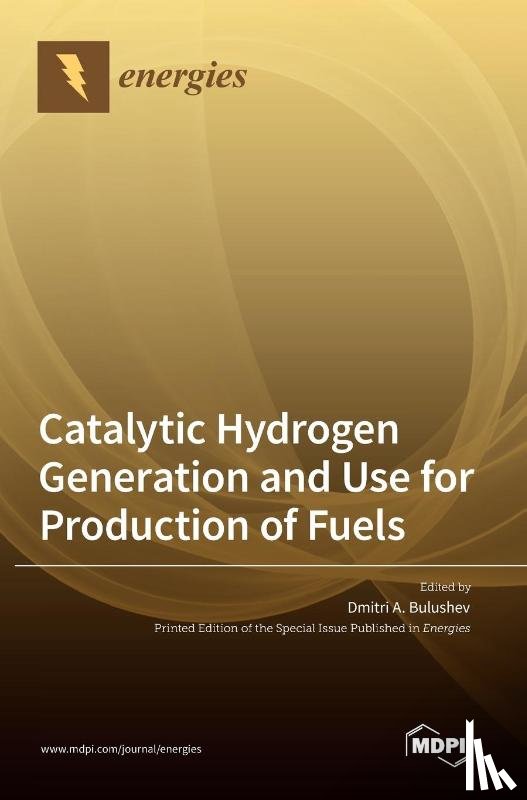 Bulushev, Dmitri A. - Catalytic Hydrogen Generation and Use for Production of Fuels