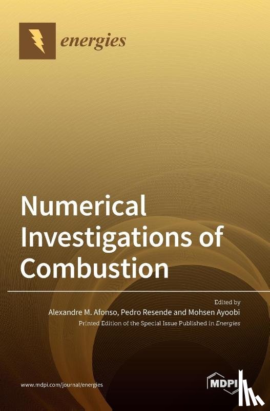  - Numerical Investigations of Combustion
