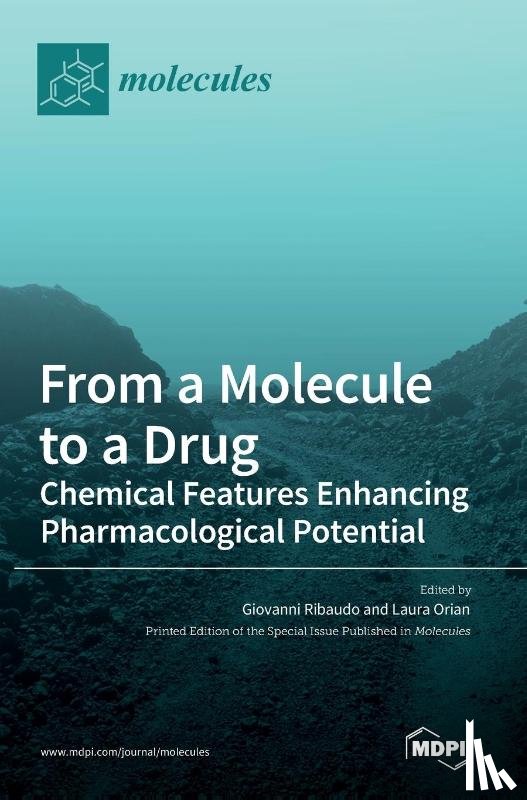 Ribaudo, Giovanni - From a Molecule to a Drug