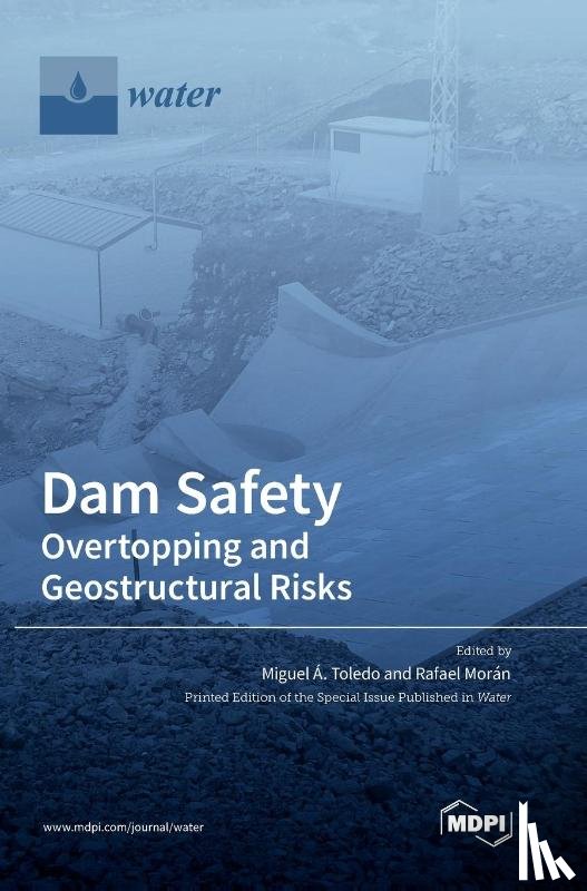 Toledo, Miguel Á. - Dam Safety.