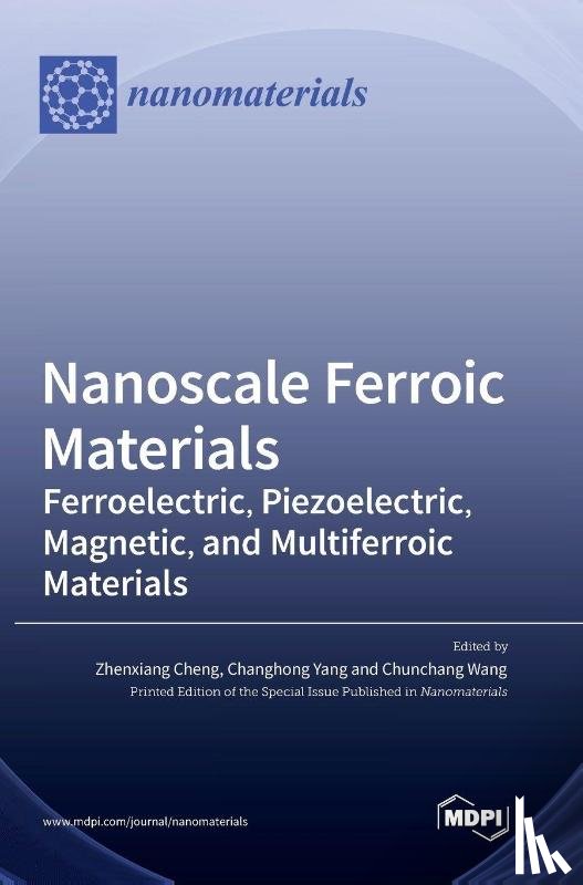  - Nanoscale Ferroic Materials