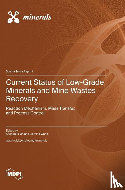  - Current Status of Low-Grade Minerals and Mine Wastes Recovery