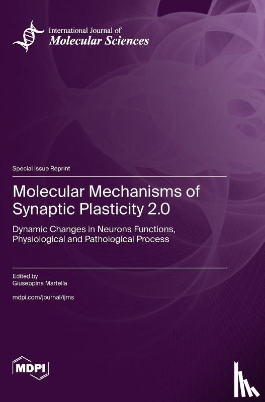 Martella, Giuseppina - Molecular Mechanisms of Synaptic Plasticity 2.0