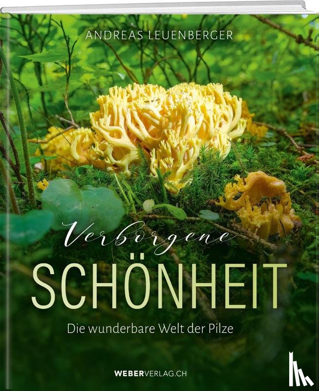 Leuenberger, Andreas - Verborgene Schönheit