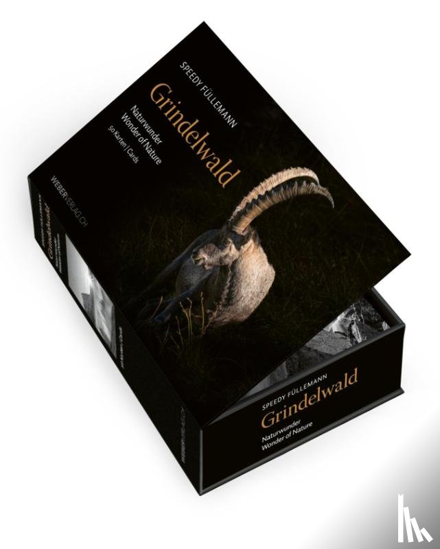 Füllemann, Speedy - Postkartenbox Grindelwald