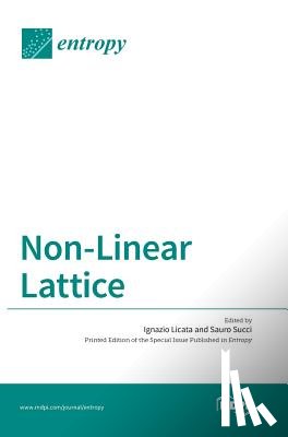 Licata, Ignazio - Non-Linear Lattice