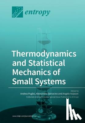 Puglisi, Andrea - Thermodynamics and Statistical Mechanics of Small Systems