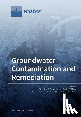 TIMOTHY D. SCHEIBE - Groundwater Contamination and Remediation
