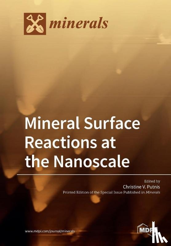 CHRISTINE V. PUTNIS - Mineral Surface Reactions at the Nanoscale