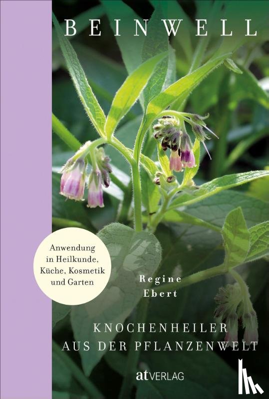Ebert, Regine - Beinwell