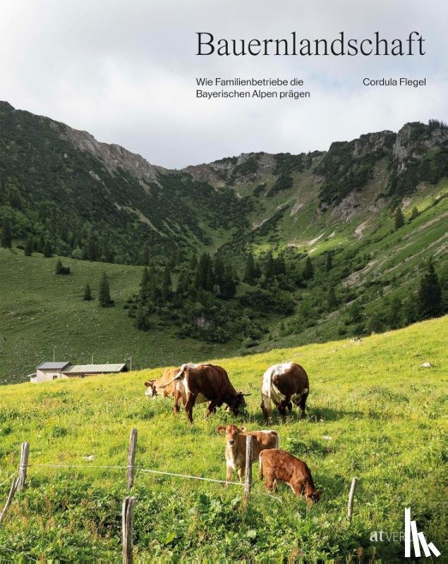 Flegel, Cordula - Bauernlandschaft