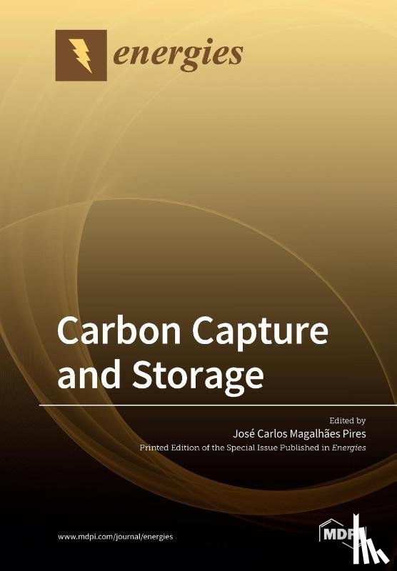 JOS MAGALH ES PIRES - Carbon Capture and Storage