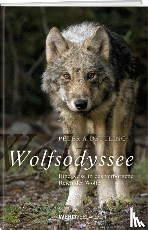 Dettling, Peter A. - Wolfsodyssee