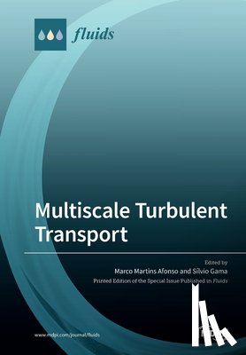 Afonso, Marco Martins - Multiscale Turbulent Transport