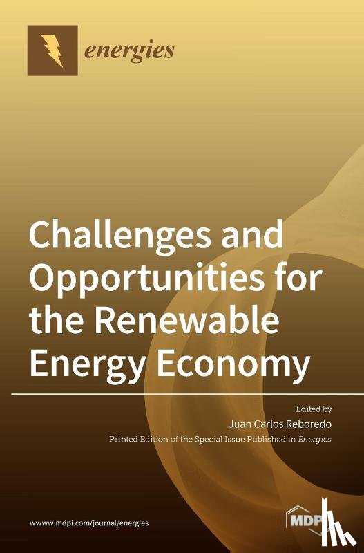 JUAN CARLO REBOREDO - Challenges and Opportunities for the Renewable Energy Economy