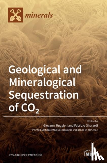 Ruggieri, Giovanni - Geological and Mineralogical Sequestration of CO2