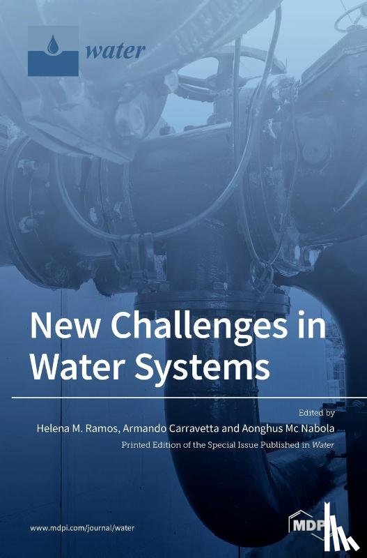 Ramos, Helena M. - New Challenges in Water Systems