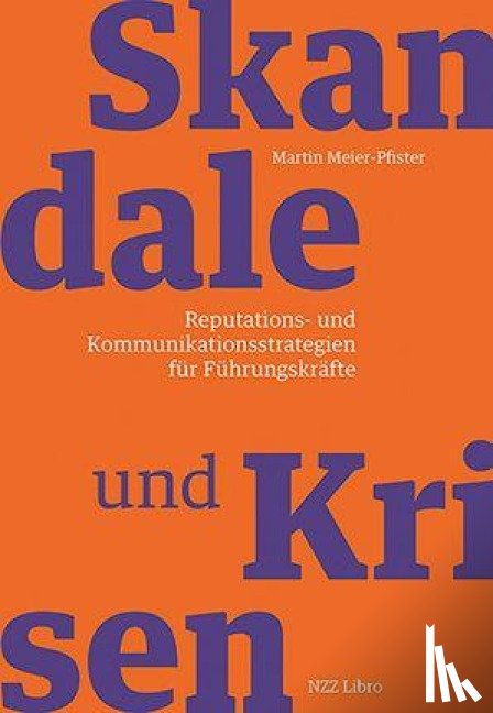 Meier-Pfister, Martin - Skandale und Krisen