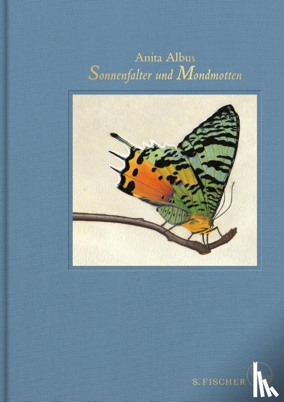 Albus, Anita - Sonnenfalter und Mondmotten