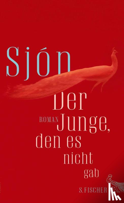 Sjón - Der Junge, den es nicht gab