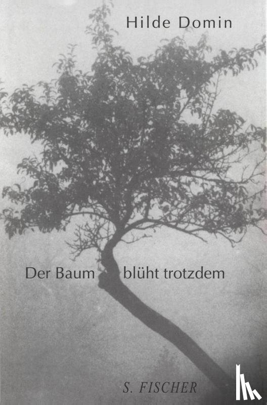 Domin, Hilde - Der Baum blüht trotzdem