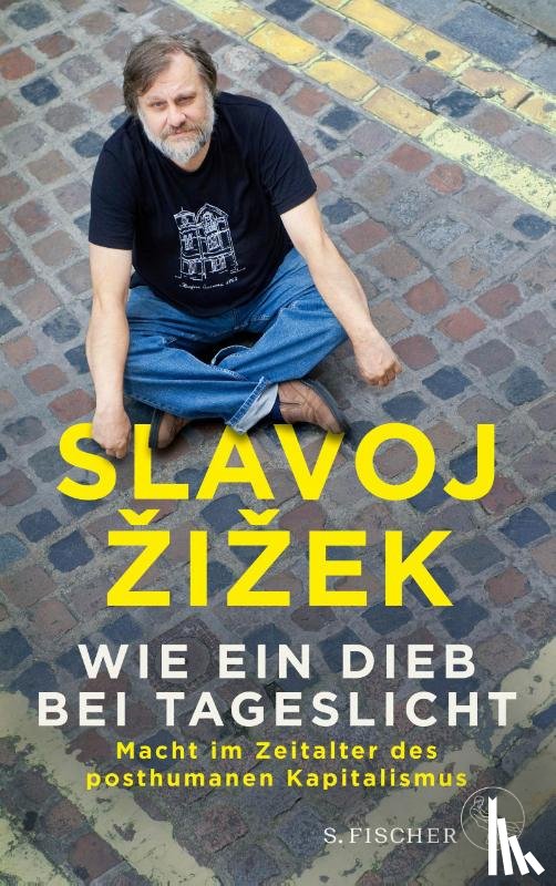 Zizek, Slavoj - Wie ein Dieb bei Tageslicht