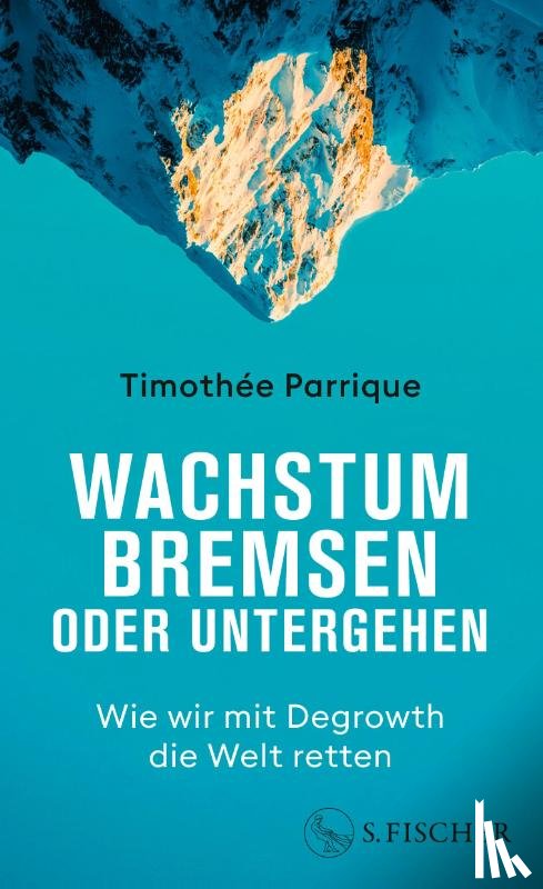Parrique, Timothée - Wachstum bremsen oder untergehen