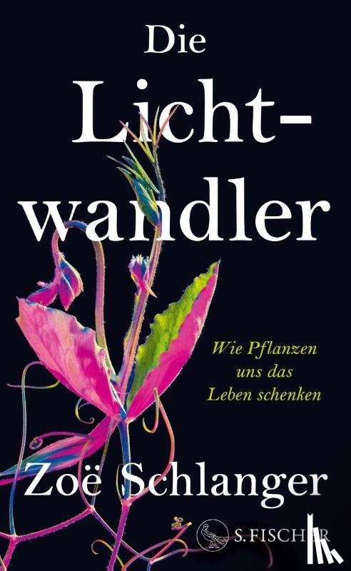 Schlanger, Zoë - Die Lichtwandler