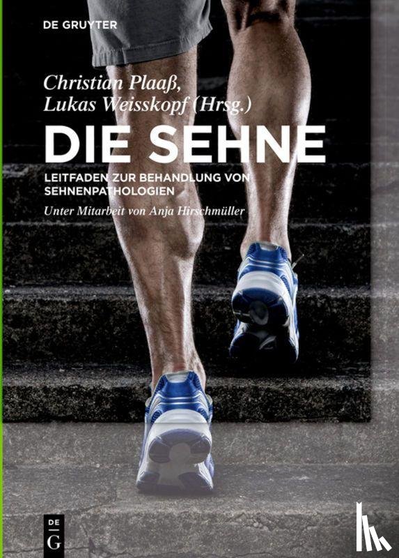  - Die Sehne